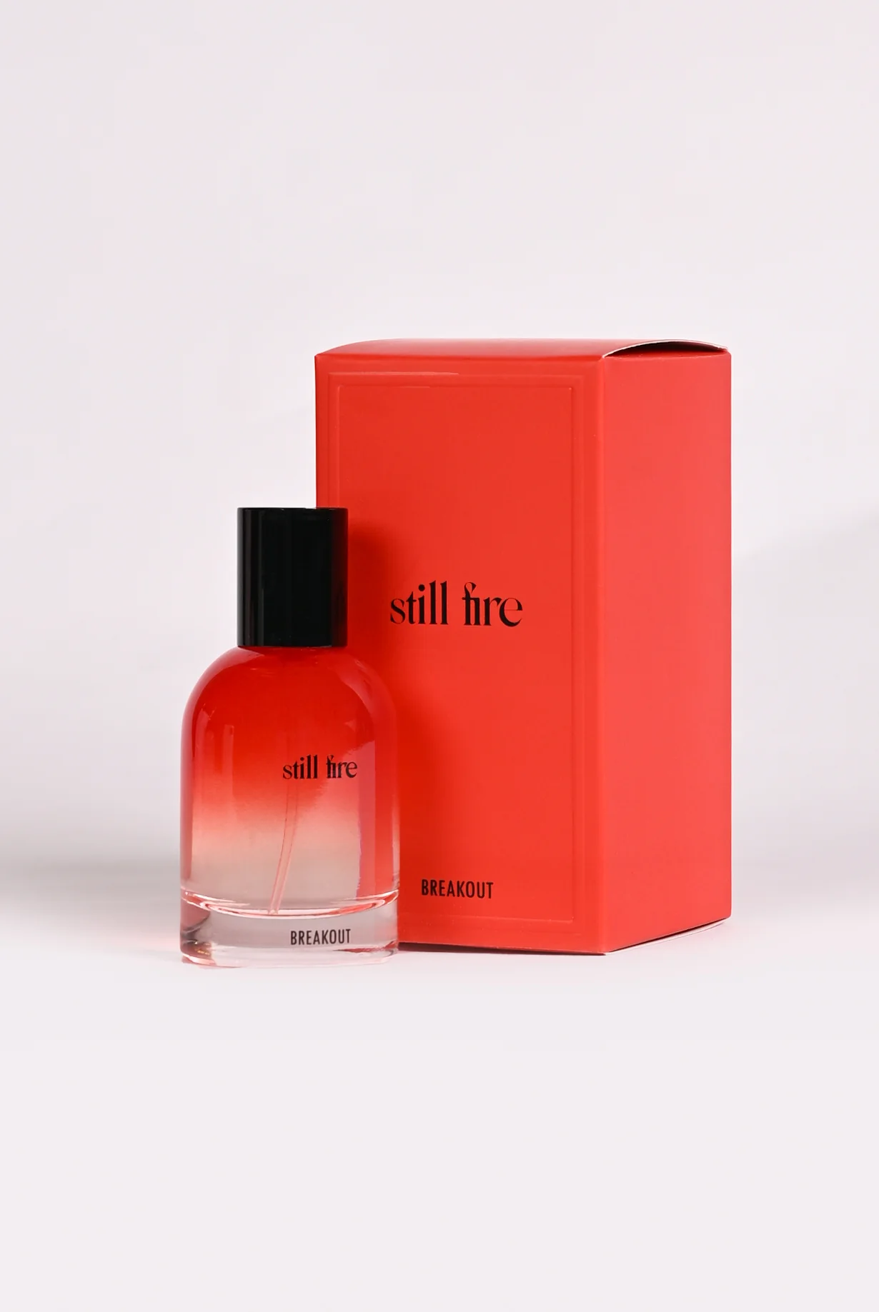 STILL FIRE - Image 3