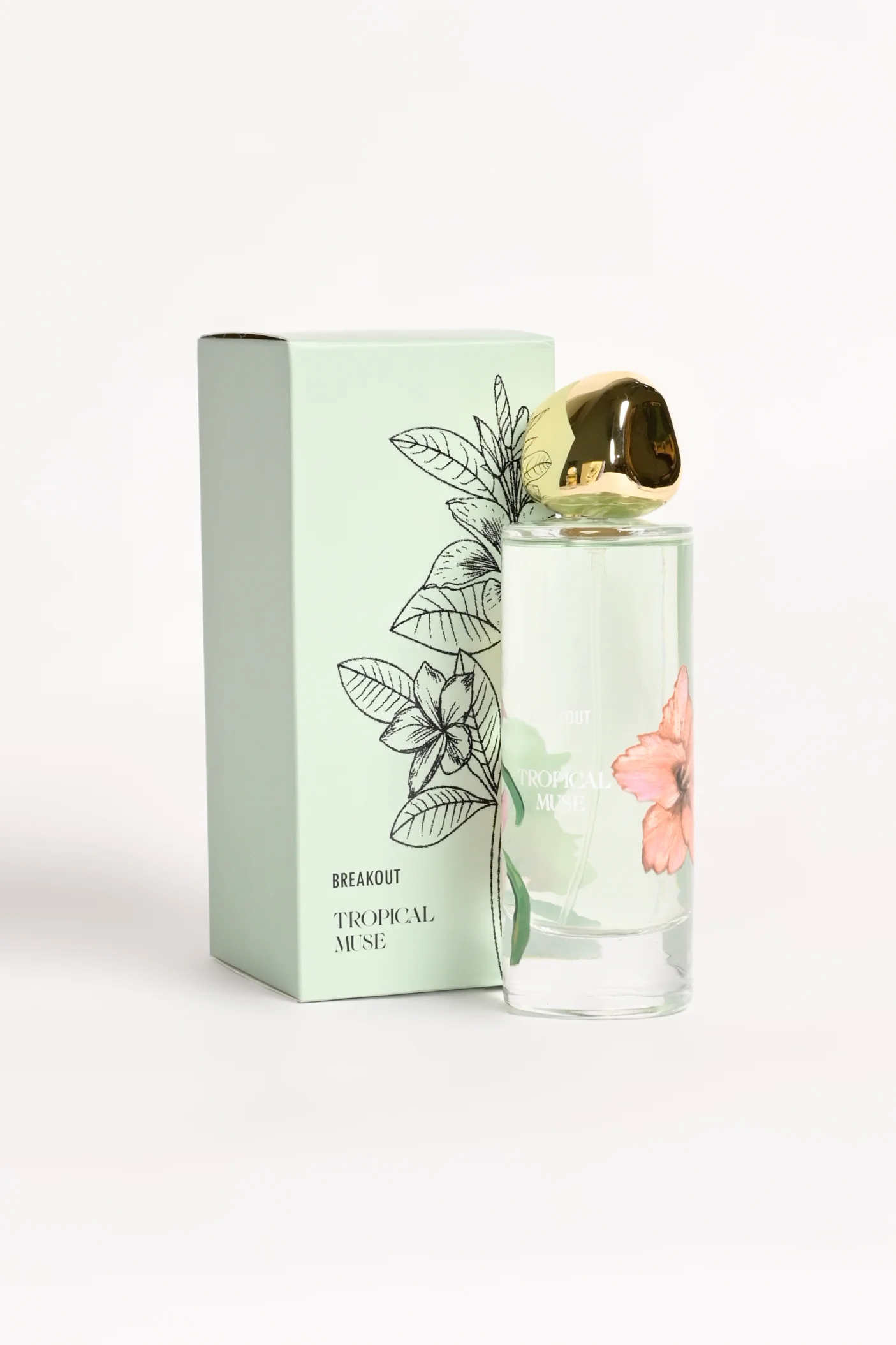 TROPICAL MUSE - Image 2