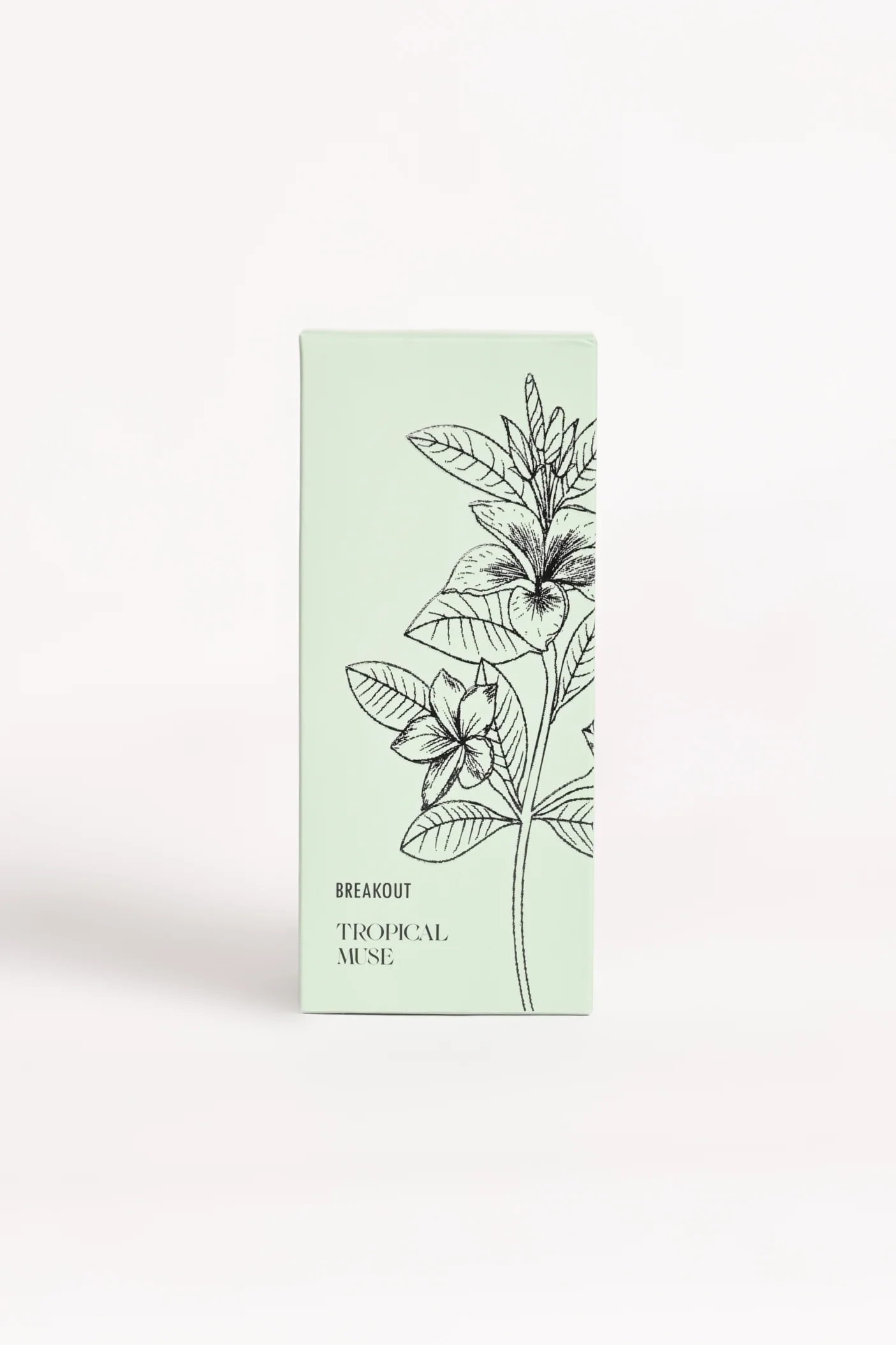 TROPICAL MUSE - Image 4