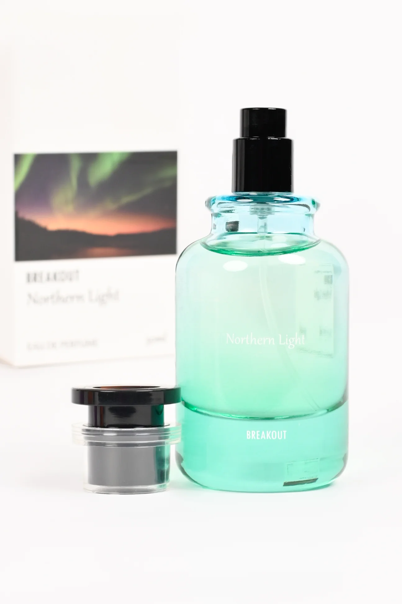 NORTHERN LIGHTS - Image 4